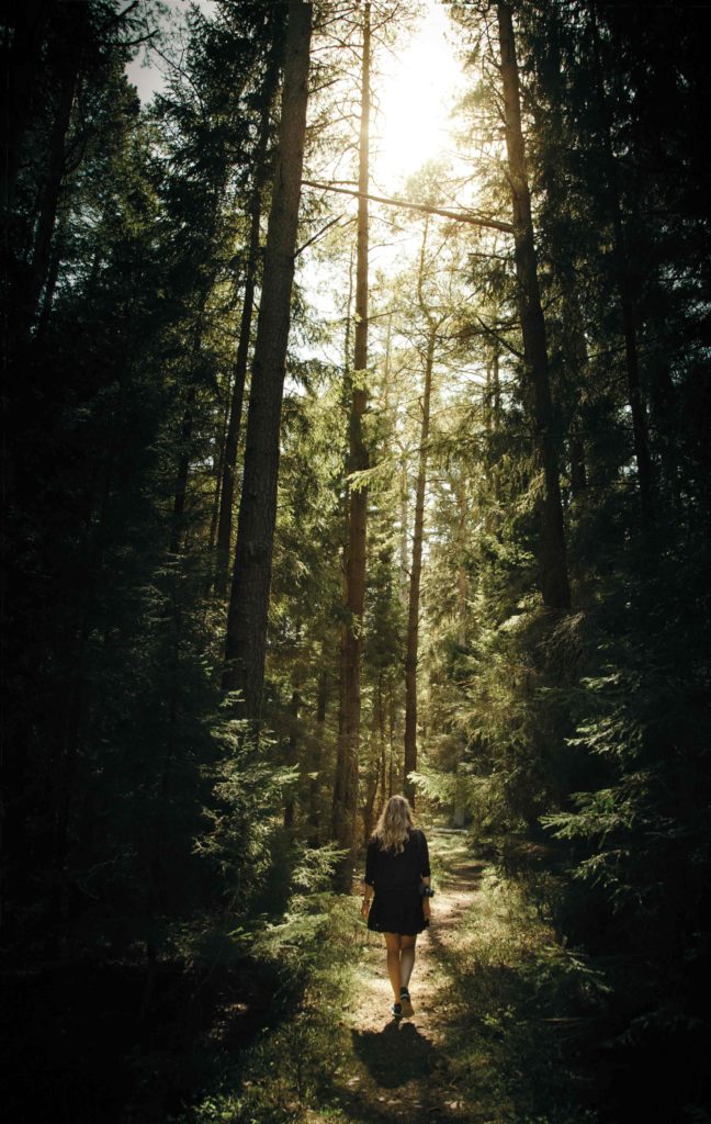 Femme forêt promenade nature inspiration motivation start-up défi consulting Senek