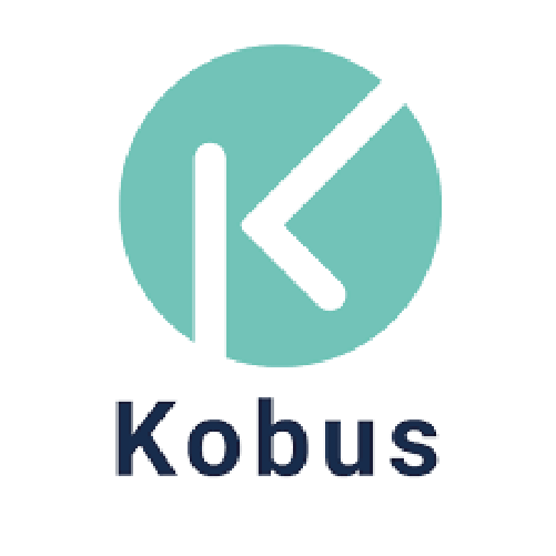 Logo Kobus bilan diagnostic kiné kinésithérapeuthes consulting Senek